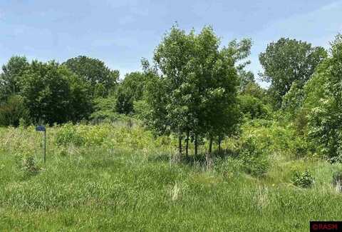 29036 Biehn Drive, Madison Lake, MN 56063