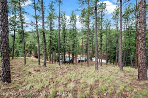 142 S Candlewood Drive, Ruidoso, NM 88345