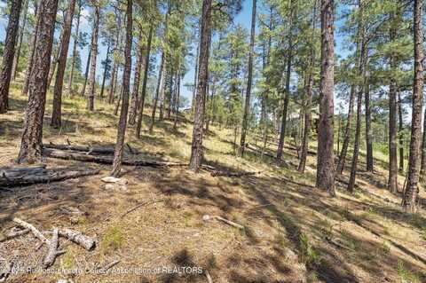 142 Candlewood Drive, Ruidoso, NM 88345