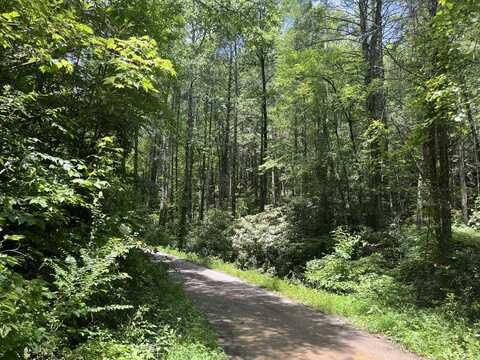 00 Tinker Branch, Reliance, TN 37369