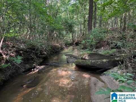 63445 HIGHWAY 22, ROANOKE, AL 36274