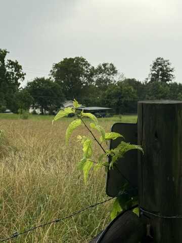 Lot 2,179 Teague Road, Cleveland, TN 37311