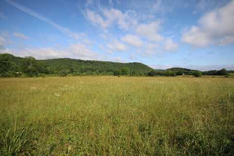 110 Acres Bivens Rd., Tellico Plains, TN 37385