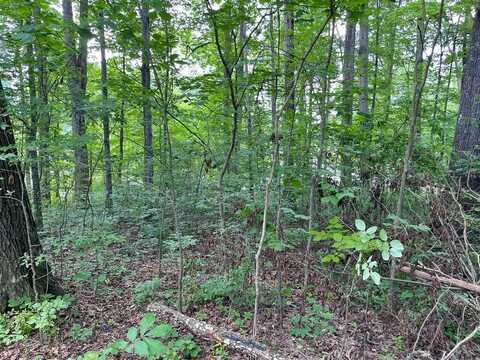 Lot 6 Melrose Place, Dayton, TN 37321