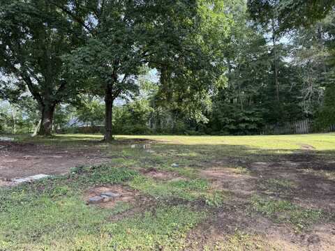 197 Julius Street, Mc Donald, TN 37353