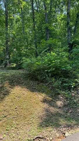 Lot 13 Michigan Avenue Road NE, Cleveland, TN 37323