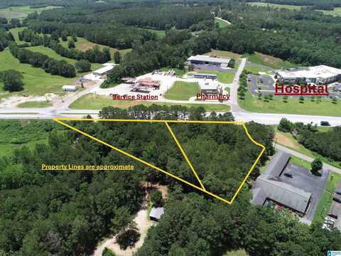 HIGHWAY 431, WEDOWEE, AL 36278