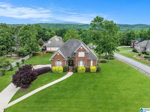 8055 BROOKHAVEN LANE, ODENVILLE, AL 35120