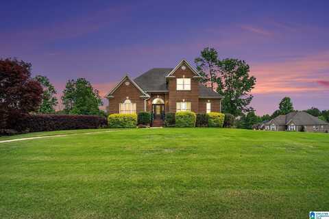 8055 BROOKHAVEN LANE, ODENVILLE, AL 35120