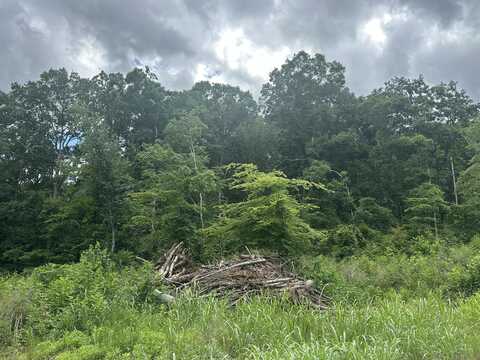 125 County Road 155, Riceville, TN 37370
