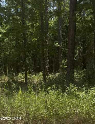 Xxx Ben Road, Chipley, FL 32428