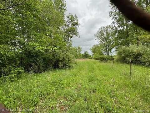 VACANT Oakville Waltz Road, Huron, MI 48164