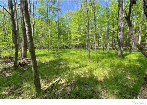000 Birchwood Drive, Lake, MI 48632