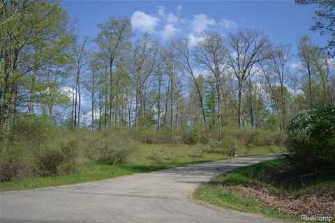 00 Oak Ridge Court, Mills, MI 48756