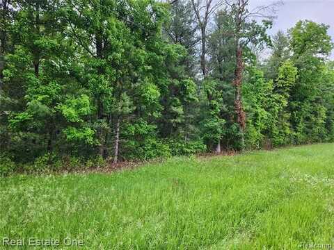 0000 W W Almy Road, Howard City, MI 49329