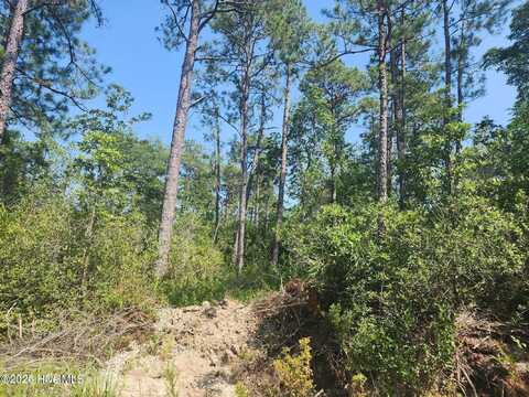 1550 Robin Road, Boiling Spring Lakes, NC 28461
