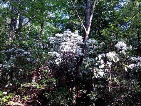 25+AC Millers Landing Road, Woods Cross Roads, VA 23190