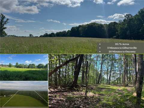 Wilbur Hill Road, Butternuts, NY 13776