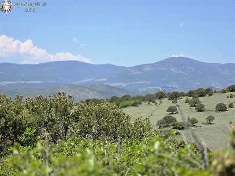 Tbd Branding Iron Lane, Canon City, CO 81212