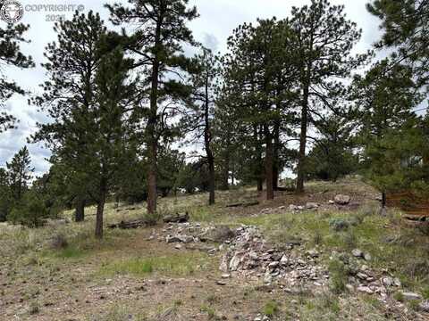161 County Road 329A, Westcliffe, CO 81252