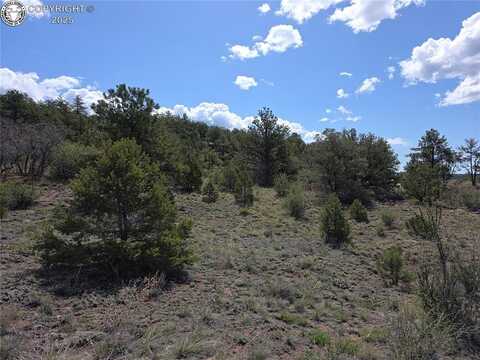 615 Rosebush Road, Canon City, CO 81212