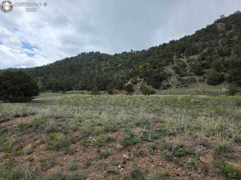 8099 County Road 28, Cotopaxi, CO 81223