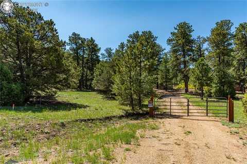 288 Bear Lane, Cotopaxi, CO 81223