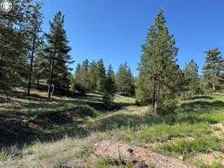 69 Coyote Run Road, Cotopaxi, CO 81223
