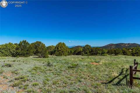 Bear Peak Road, Westcliffe, CO 81252