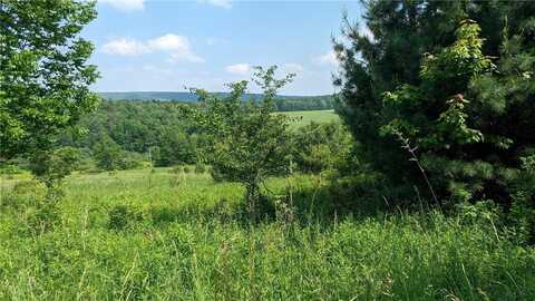 Hubbard Hill Road, Maryland, NY 12116