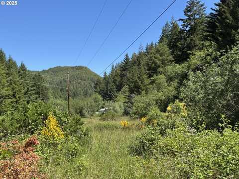 Cedar Valley Rd, Gold Beach, OR 97444