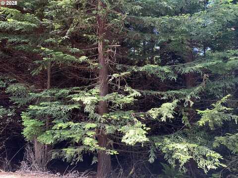00 Shelley RD, Coquille, OR 97423