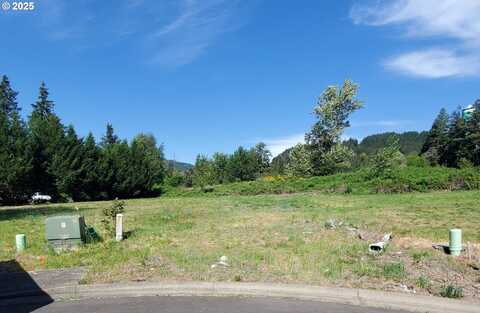 48489 ROARING RAPIDS WAY, Oakridge, OR 97463