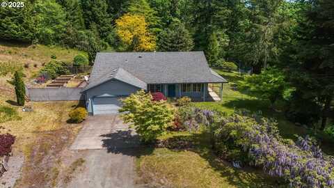 24802 NE 432ND ST, Amboy, WA 98601