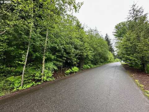 NE Lessard RD, Camas, WA 98607