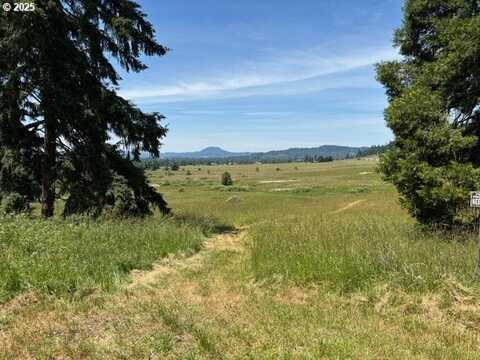 N Morningstar Road, Pleasant Hill, OR 97455