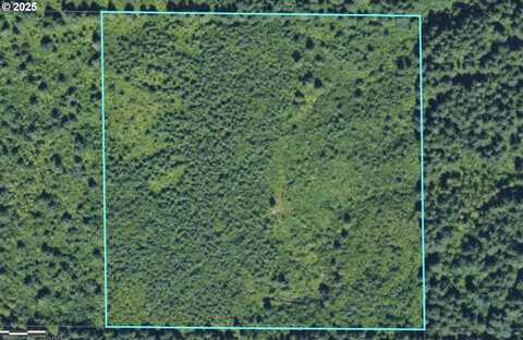 0 TBD, Brush Prairie, WA 98606