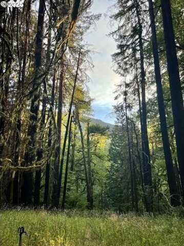 25993 E HENRY CREEK RD, Rhododendron, OR 97049