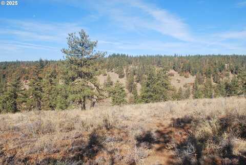 0 Hidden Meadows, Goldendale, WA 98620