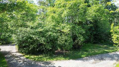 Y LN, Ocean Park, WA 98640