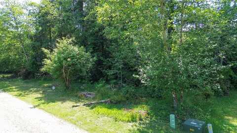 Y LN, Ocean Park, WA 98640
