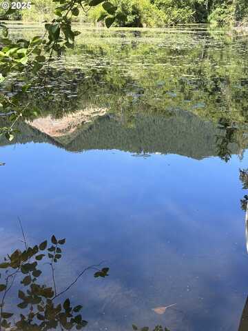 2 E Brightwood Loop RD, Brightwood, OR 97011