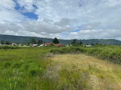 2 Springer ST, Cathlamet, WA 98612