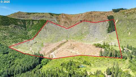 SNOWBERRY RD, Roseburg, OR 97471