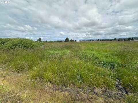 3 Springer ST, Cathlamet, WA 98612