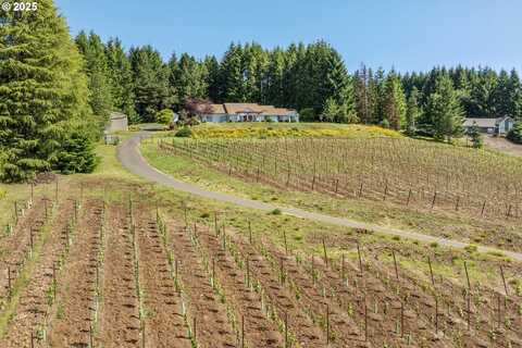 17385 NE FAIRVIEW DR, Dundee, OR 97115