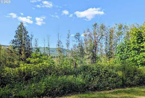 267 WILDCAT RD, Toutle, WA 98649