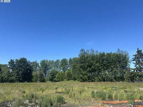 91171 OLD MILL TOWN RD, Clatskanie, OR 97016