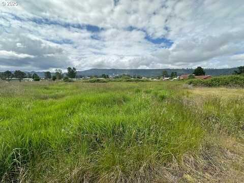 4 Springer ST, Cathlamet, WA 98612
