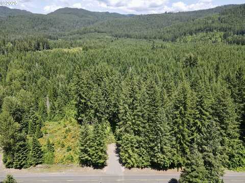 10842 WIND RIVER RD, Carson, WA 98610